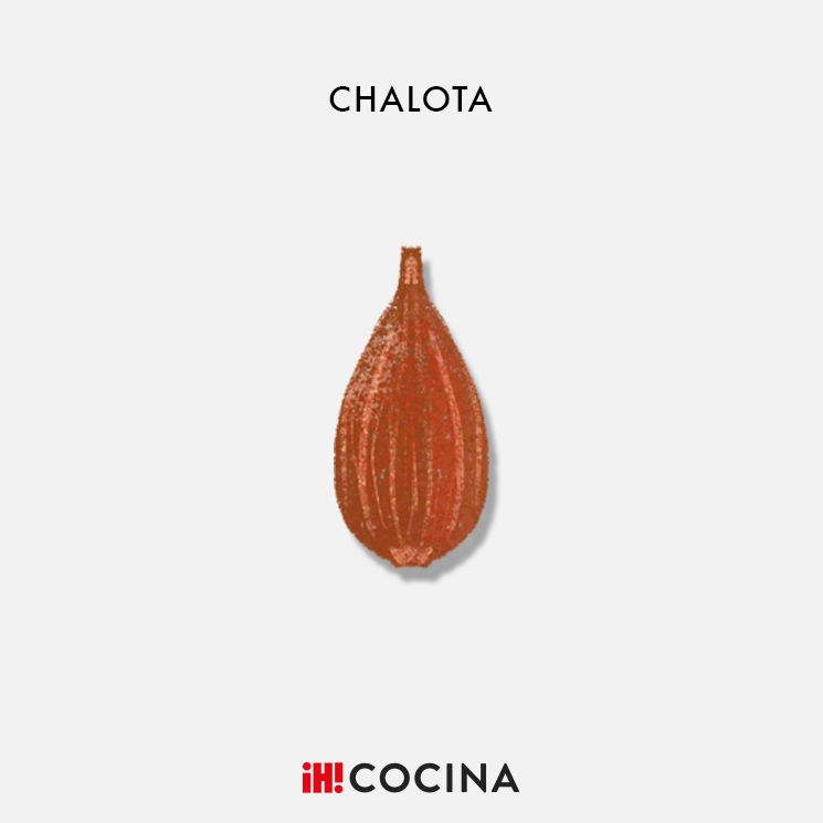CHALOTA