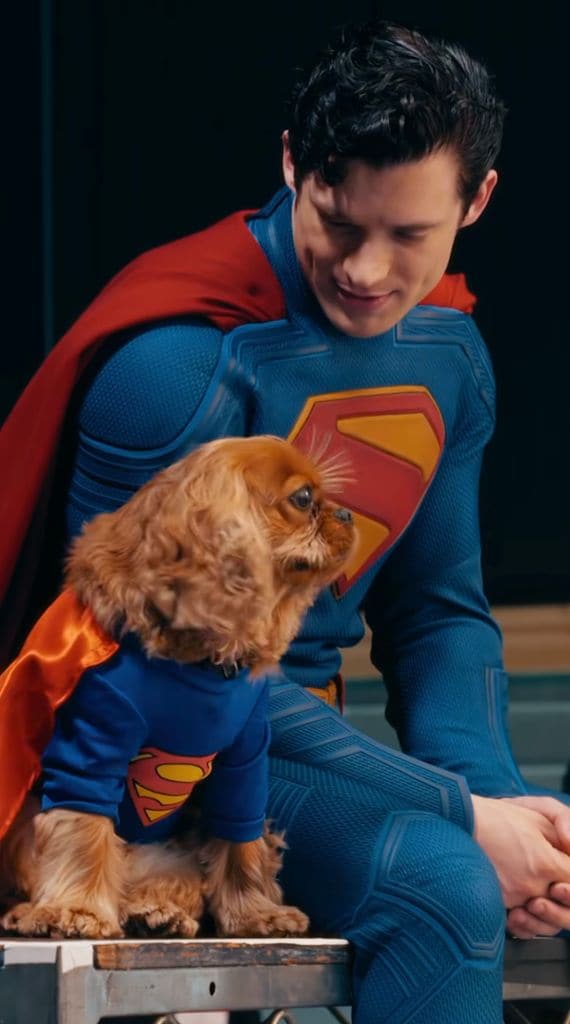 David Corenswet con su perrita Ira