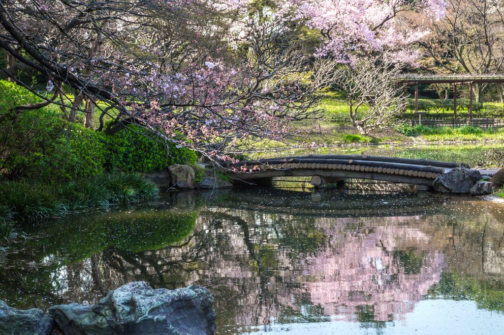 Parte del jardin del Palacio Imperial de Japón