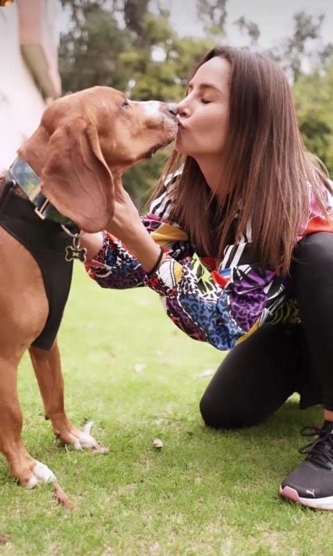 Carmen Villalobos (Café con aroma de mujer') termina un año de éxitos profesionales con una triste despedida