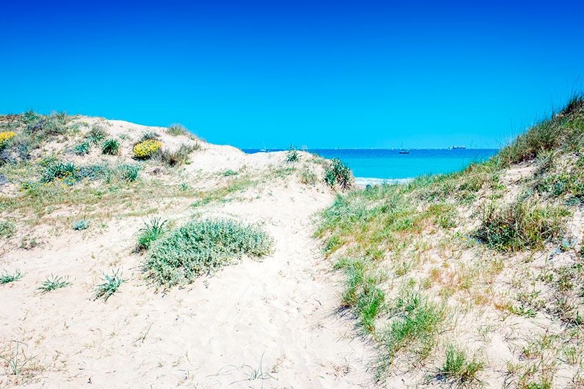 Playas y dunas naturales en la Albufera de Valencia.