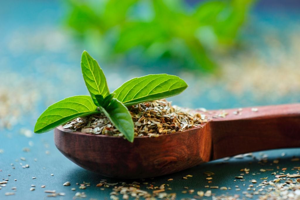 Hojas de albahaca sagrada o tulsi