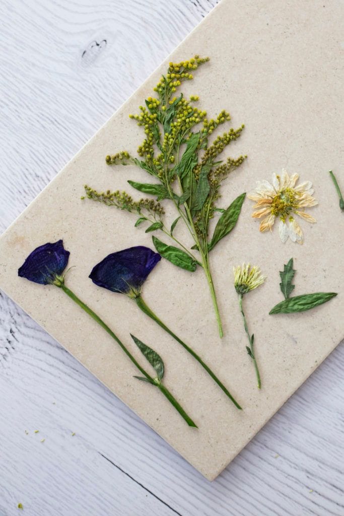 Azulejo con flores prensadas