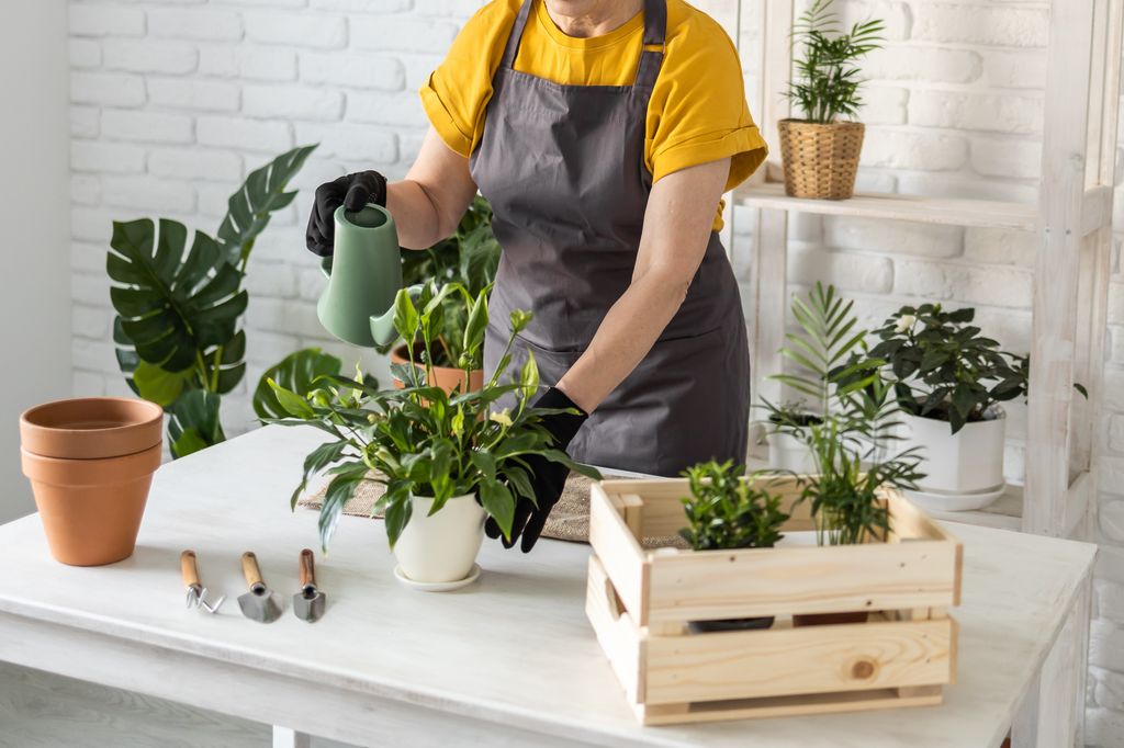 Mujer regando las plantas. 