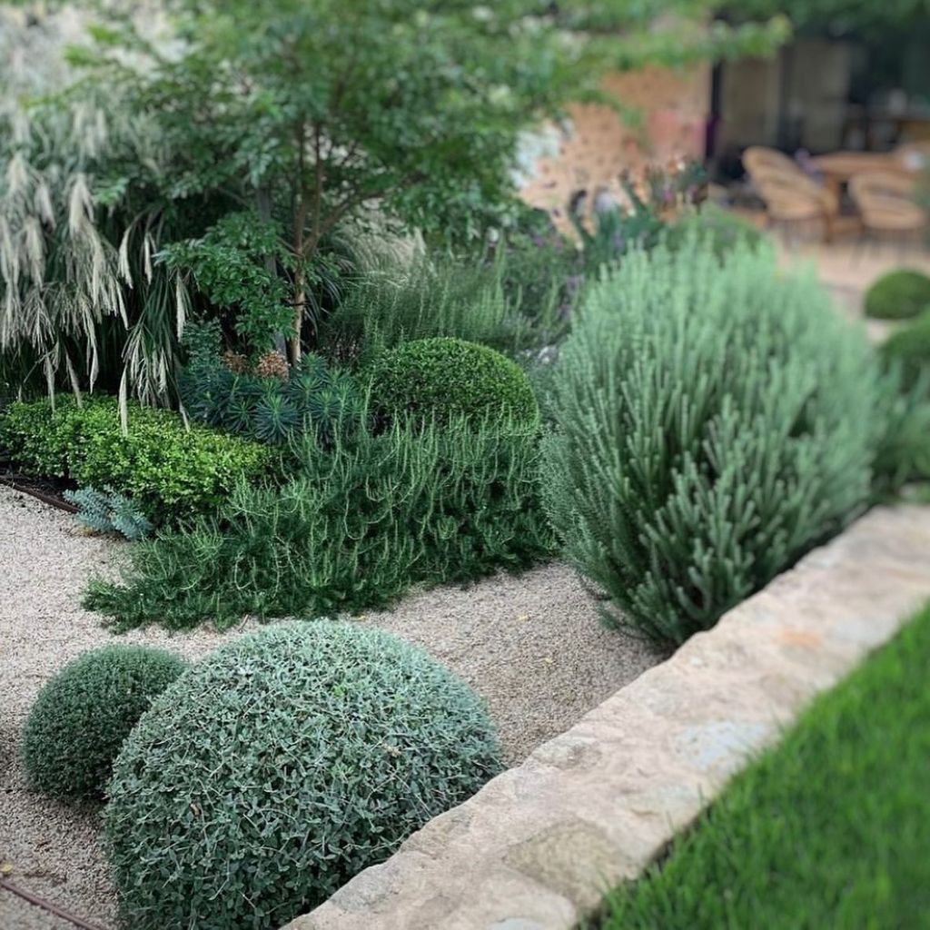 Jardín