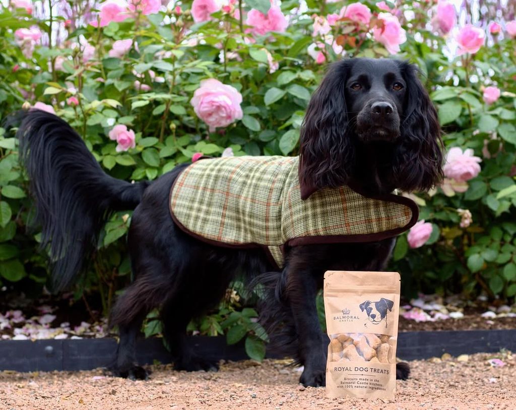 “Horneadas a mano en las cocinas del Castillo Balmoral, estas galletas 100 % naturales se elaboran con cariño, en pequeñas cantidades, con harina integral, huevo y caldo de pollo”