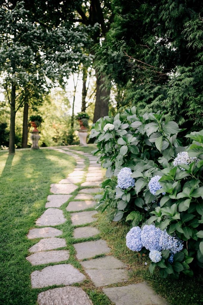 Jardínb con hortenias. 