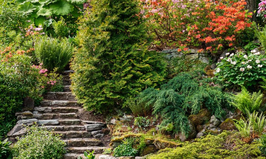 Jardín en un terreno con una pronunciada pendiente