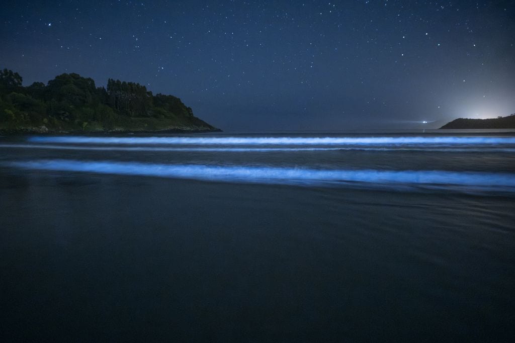 Fenómeno de la bioluminescencia en las playas de la Costa da Morte, en Galicia, 