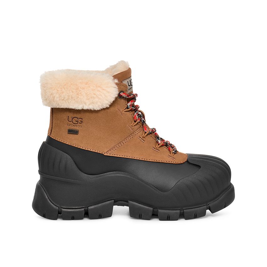 ugg7