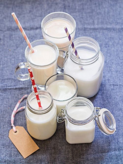 leche1