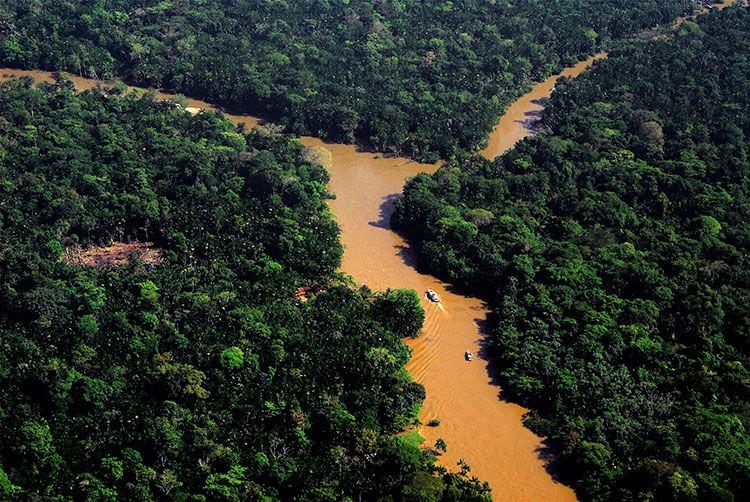 Amazonas_a