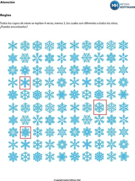 solucion-copos-nieve