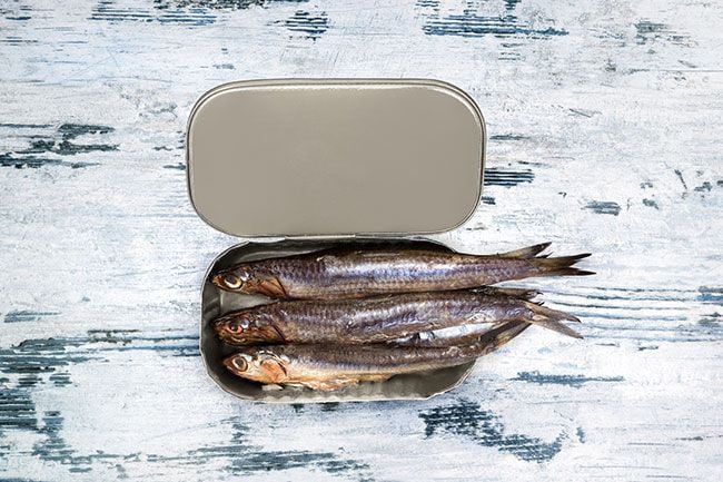sardinas