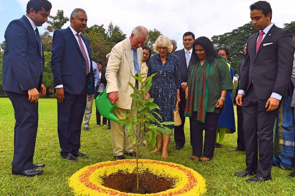 Plano general del Rey Carlos III y Reina Camilla en su visita a la India regando  una planta