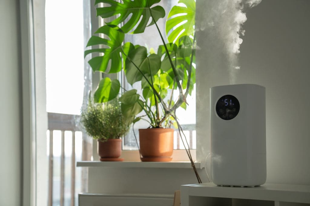 Humidificador moderno, ideal para el cuidado de las plantas de interior 