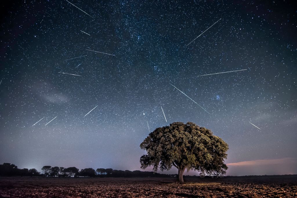 Lluvia de estrellas. 