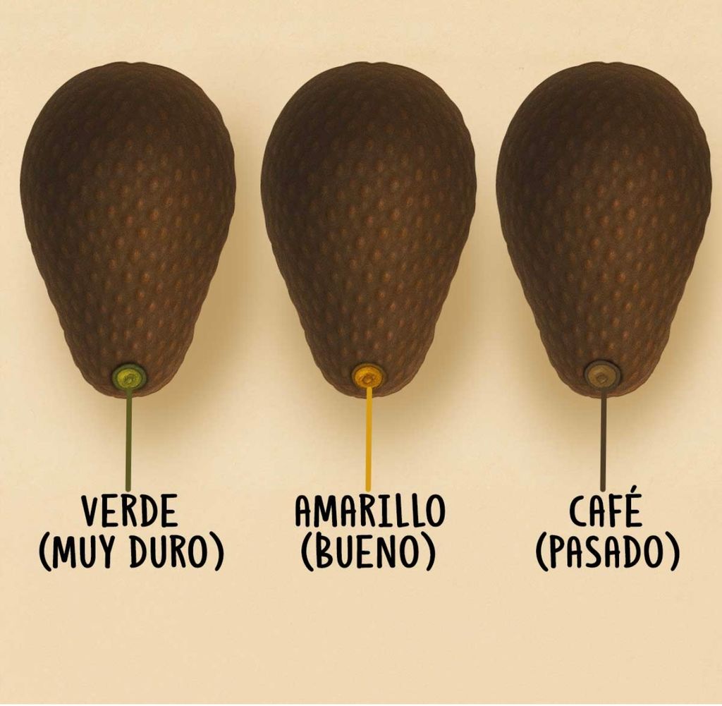  Claves a tener en cuenta en la elección de una buena palta