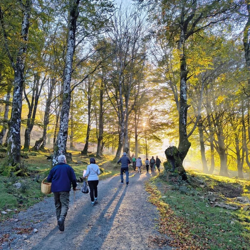 Parque Micológico Valle de Ultzama