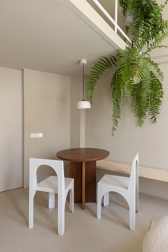 Ideas fáciles y vistosas para decorar con plantas
