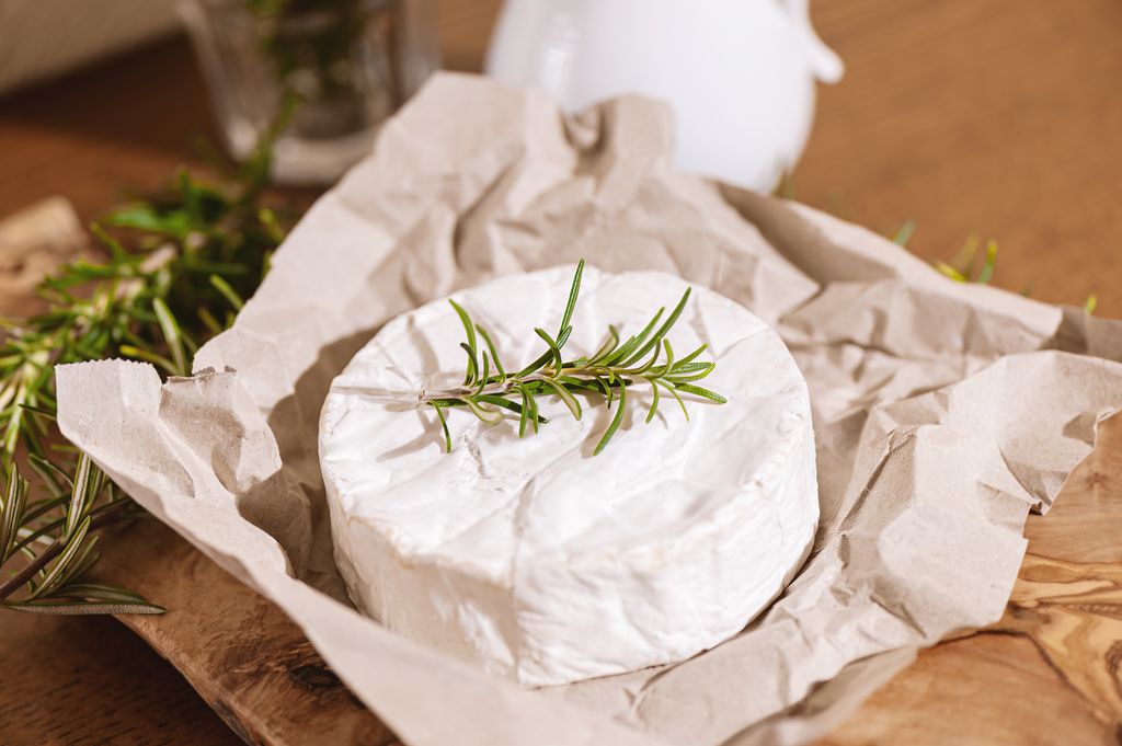 Queso Camembert sobre papel con una ramita de romero encima