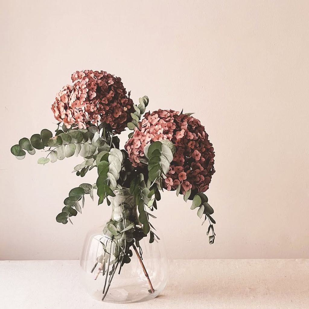 Orquídeas en un jarrón