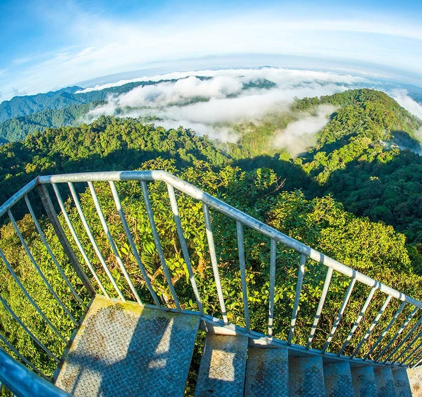 Torre de observación del bosque nuboso, Ecuador