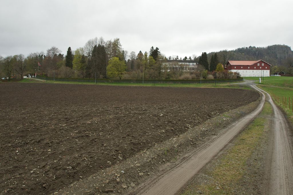 Media Image