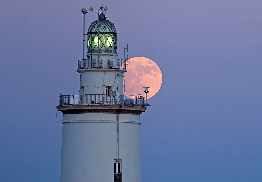 Luna de ciervo 