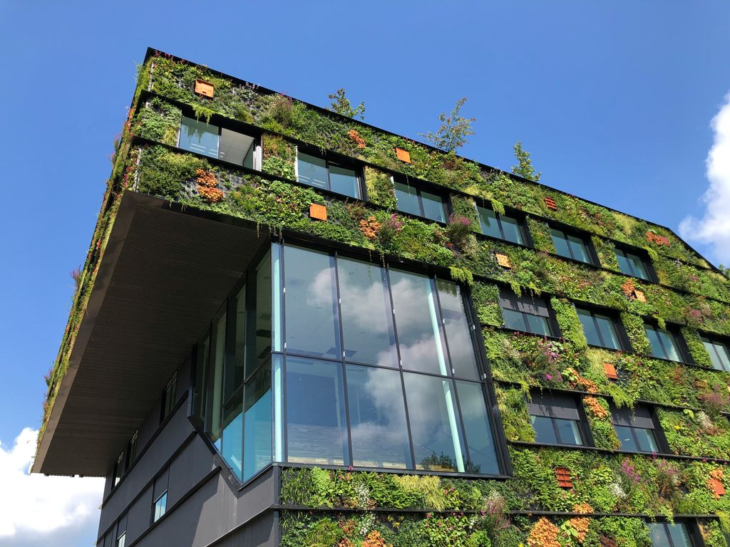 Fachada vegetal (denominada también ’living wall’ o 'green facade') que incluye tanto plantas de hoja como con flor