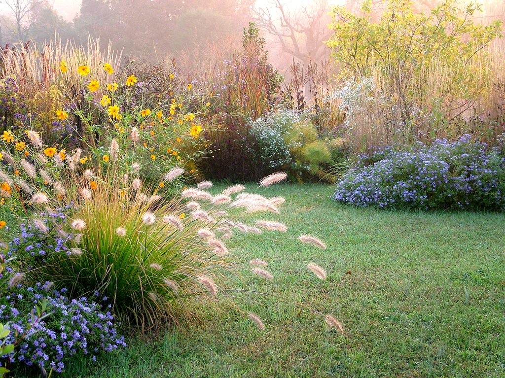Jardín otoñal con las flores y gramíneas de protagonistas