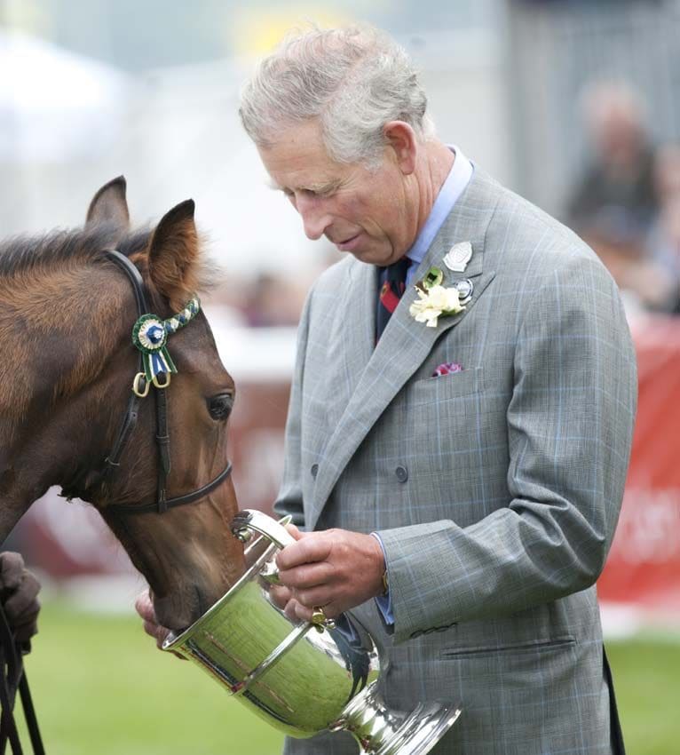 Carlos III con un caballo