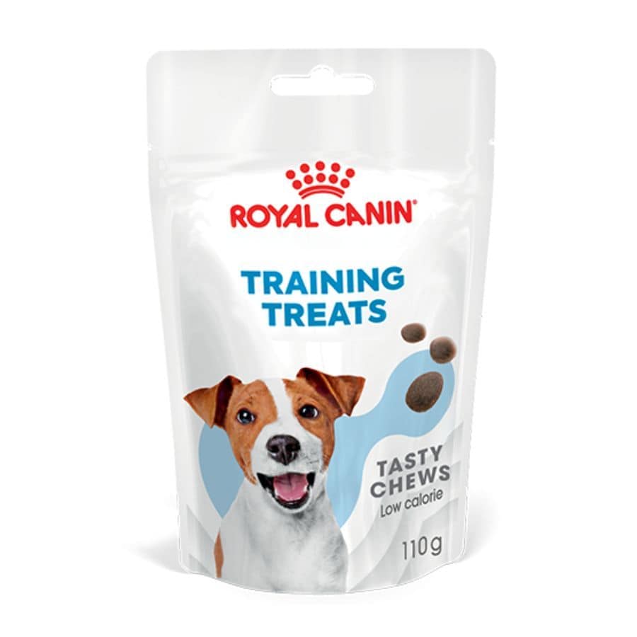 Dieta veterinaria y premios ¿son compatibles?
