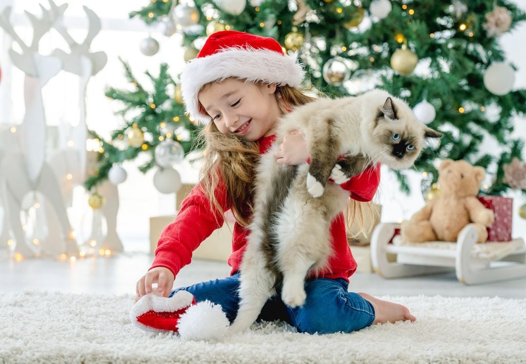 Niña con su gato en Navidad