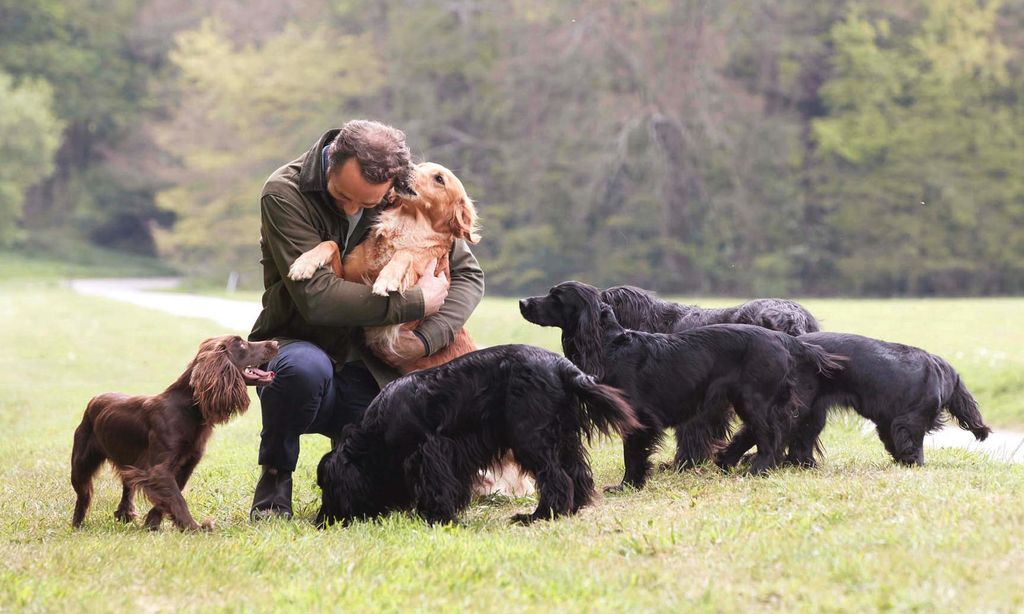 James Middleton HOLA 4060