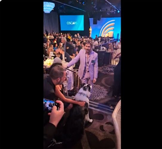 Ryan Gosling conoce al perro de 'Anatomía de una caída'