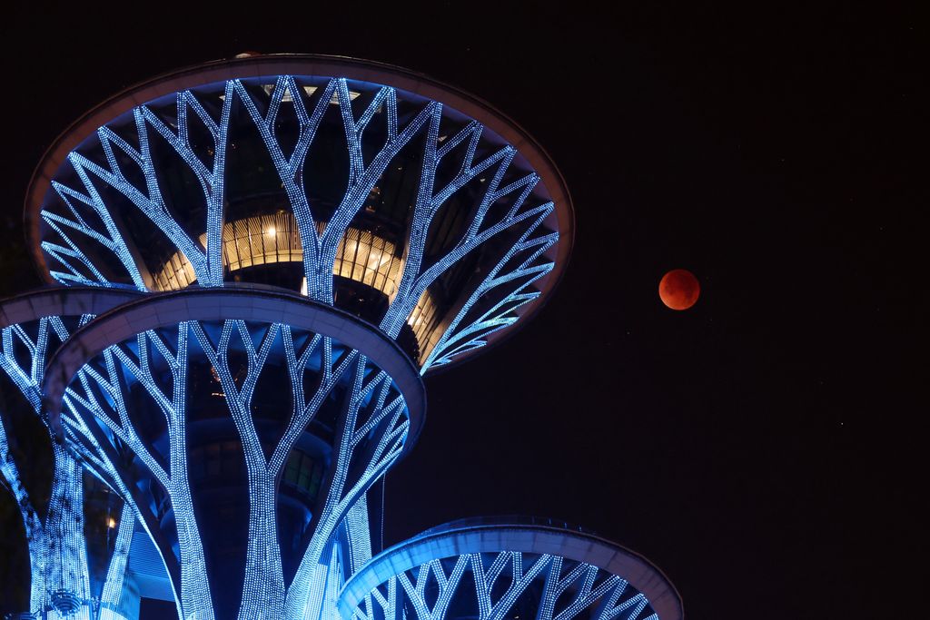 Luna de sangre/Eclipse Lunar 