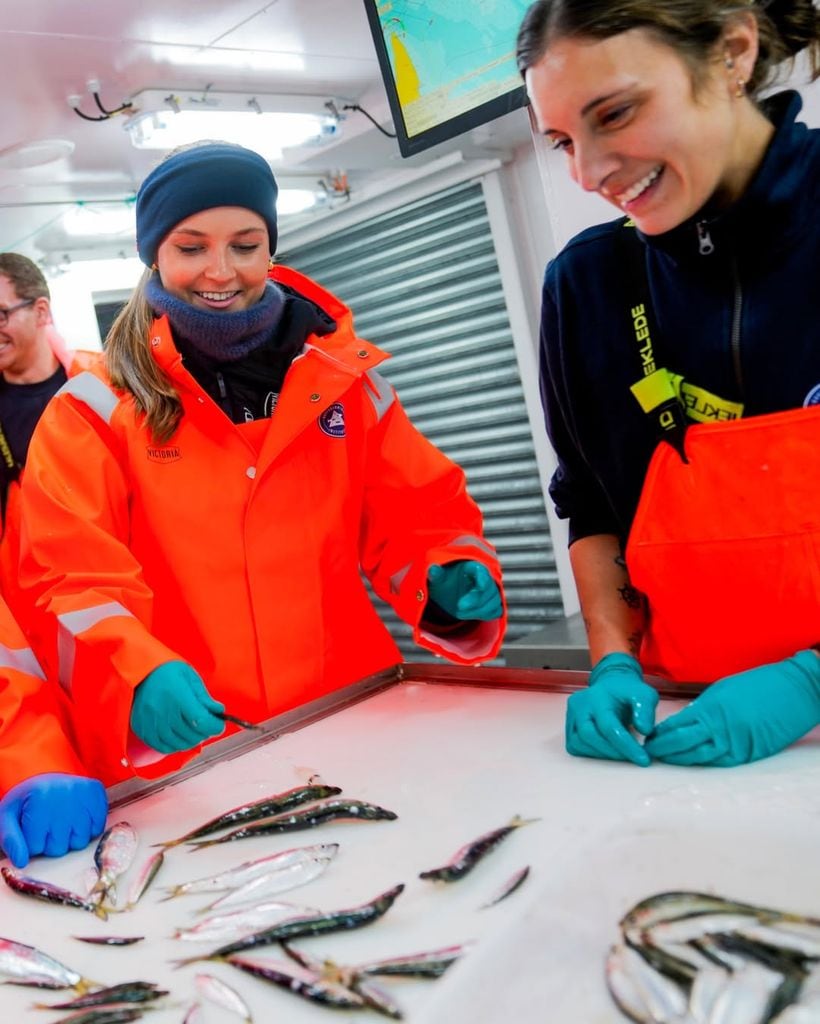 La princesa escuchó atentamente todas las explicaciones acerca del espadín