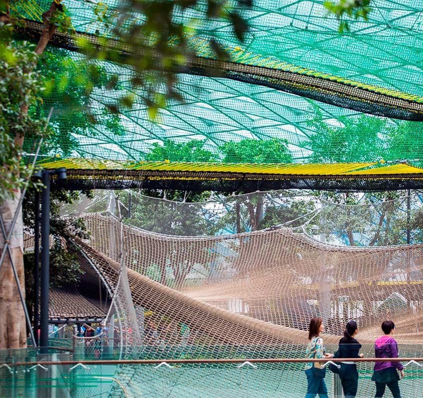 Aeropuertos, nuevos espacios de ocio, qué hacer: Changi Airport internacional de Singapur