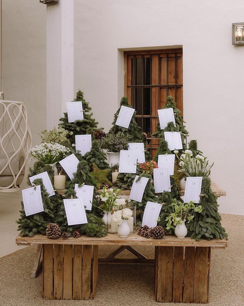 Decoración de bodas de Navidad seating plan
