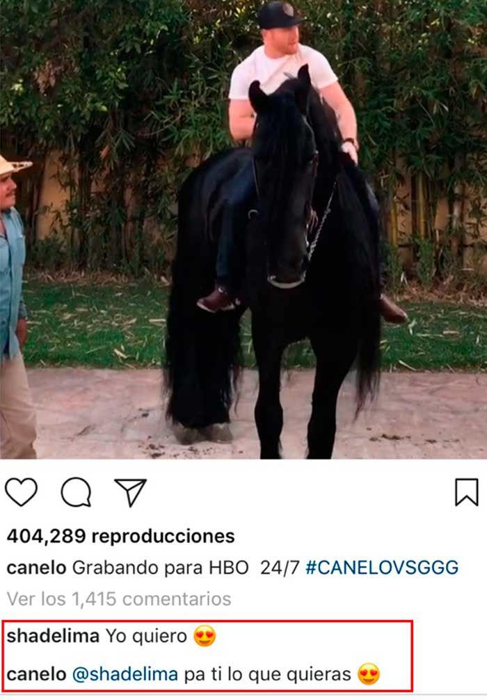 canelo-a-caballo-y-shannon