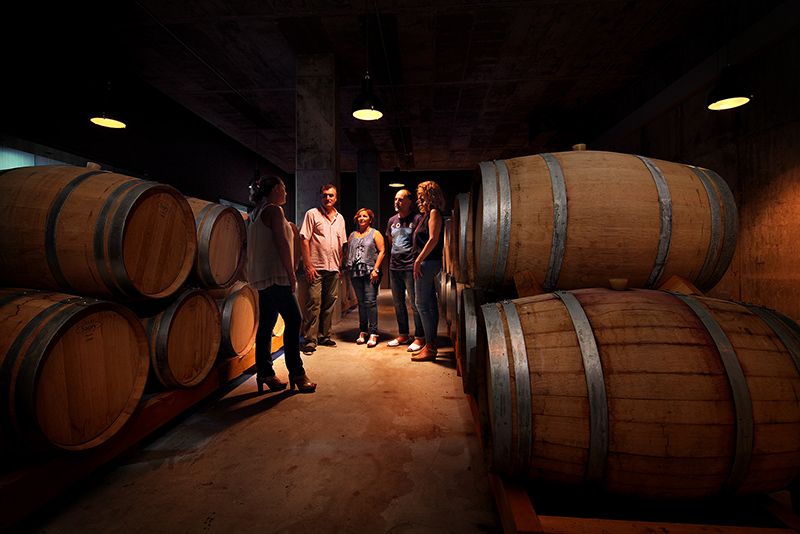 mastinell-visita-bodega
