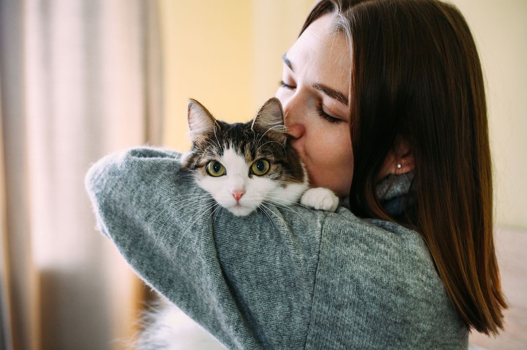 Cada raza de gato tiene un caracter muy distinto