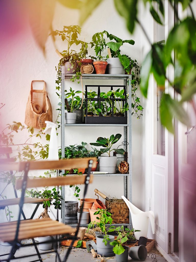 Estantería metálica con plantas