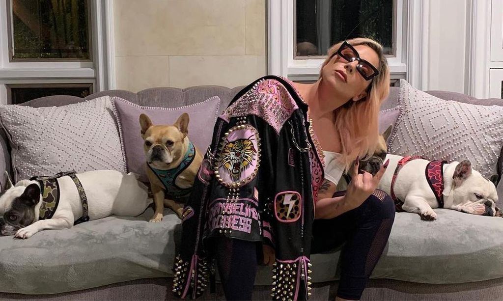 Lady Gaga y sus perros