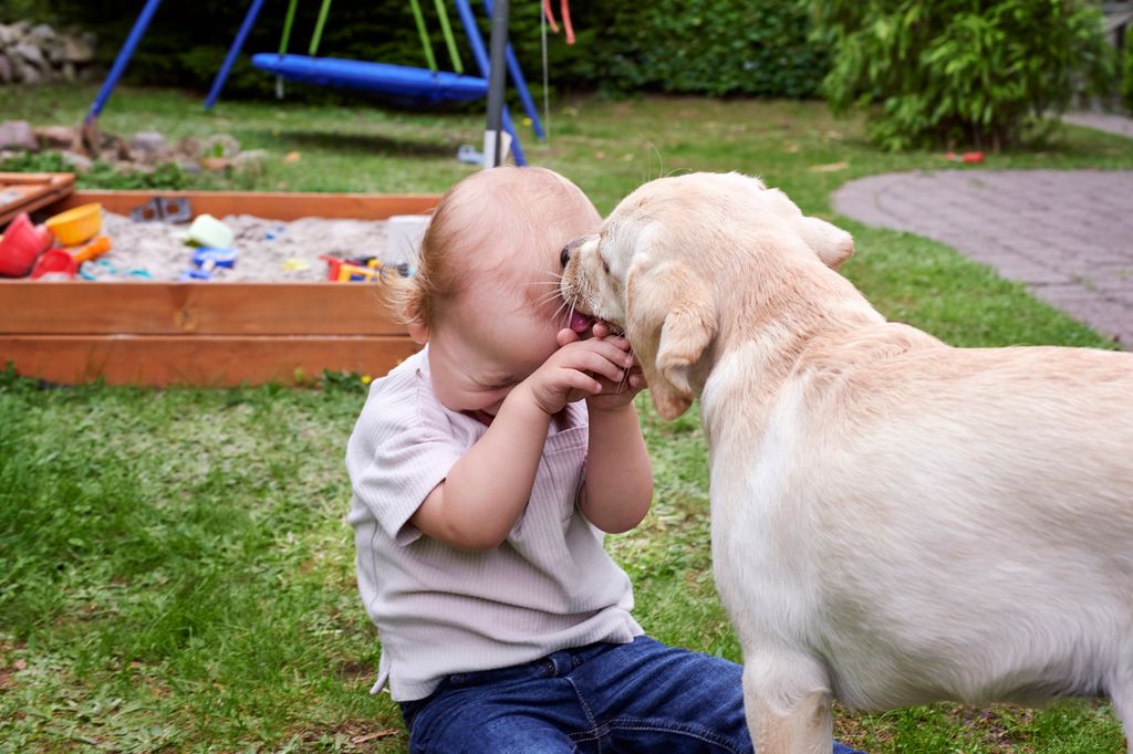 El contacto físico es una de las formas que tienen los perros de comunicarse con las personas con las que conviven