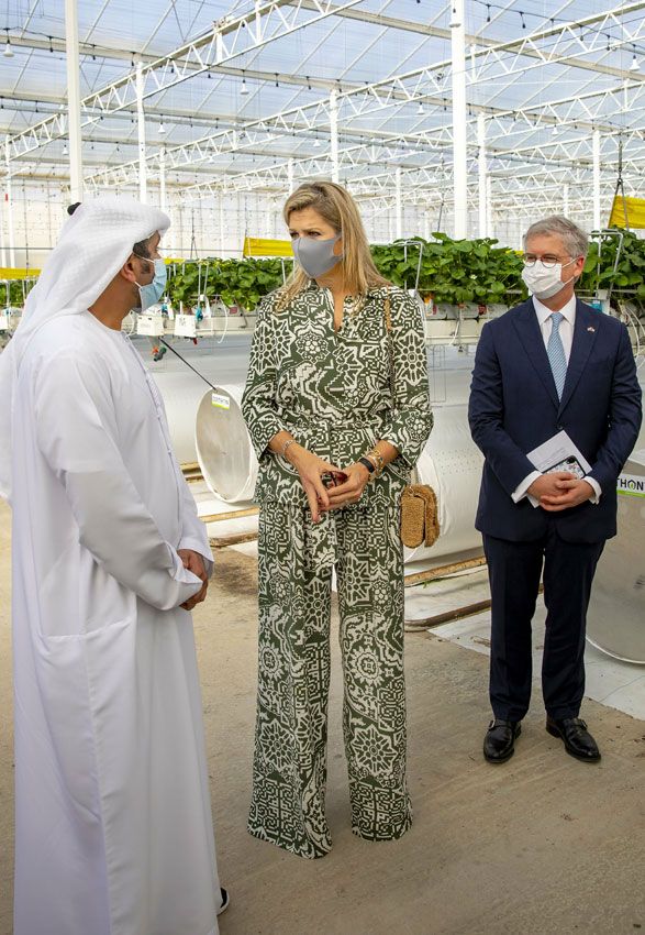 Máxima de Holanda