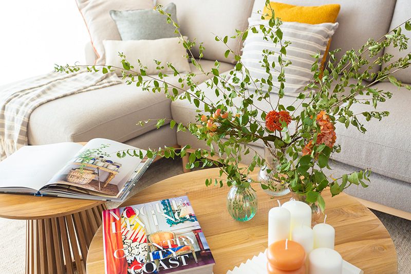 Ideas fáciles y vistosas para decorar con plantas