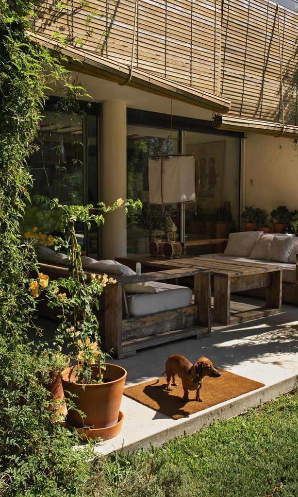 terraza LIVING36