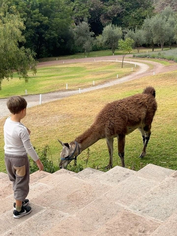 El pequeño estaba feliz por ver las llamas de cerca 